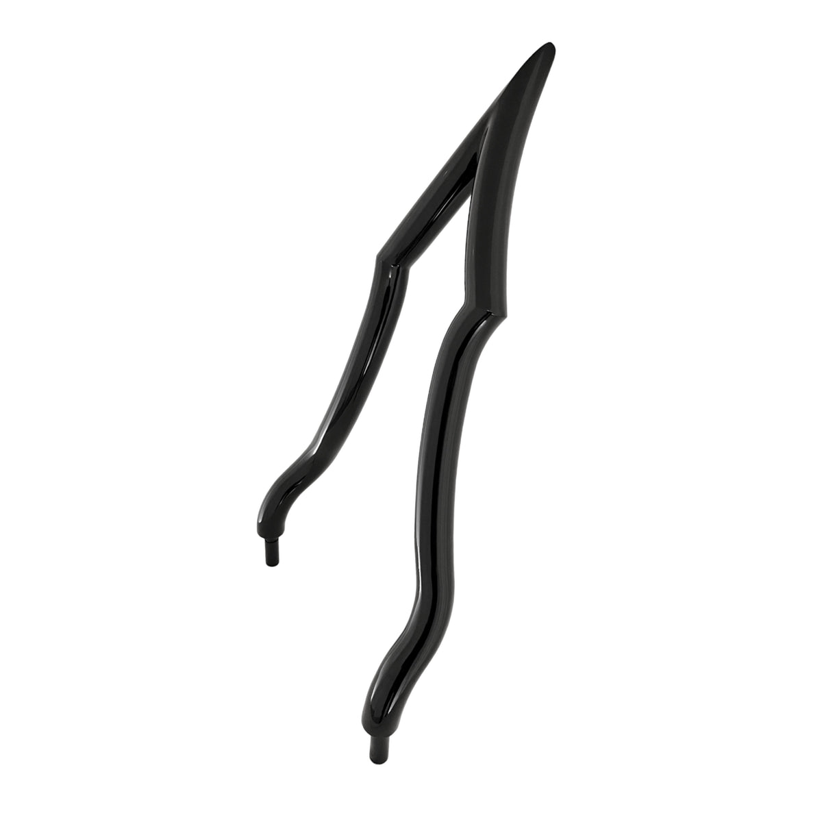 SISSY BAR