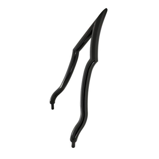 SISSY BAR